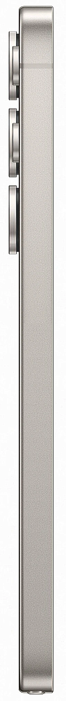 Samsung Galaxy S25 Ultra 12/256GB Titanium Grey