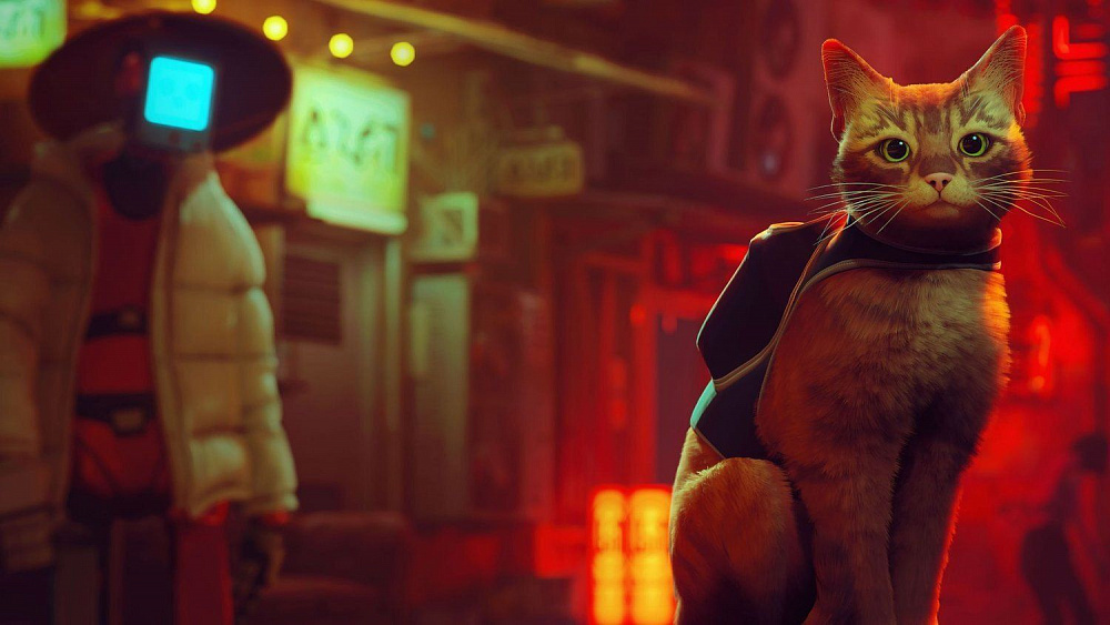 Игра Stray на PS5