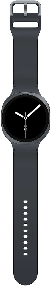 Samsung Galaxy Watch 8 44 mm Graphite