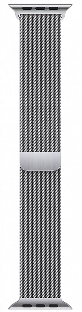 Apple Milanese Loop 44 мм Silver