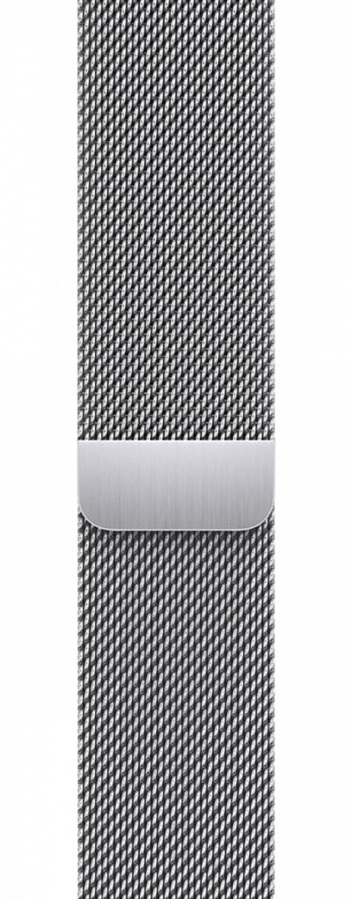 Apple Milanese Loop 44 мм Silver